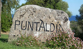 Puntaldia